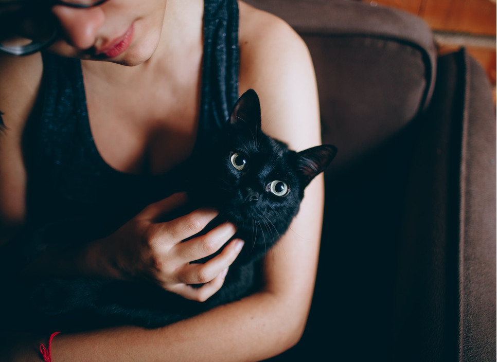 Juodosios katės yra daugelio mitų ir prietarų objektas. Labiausiai paplitęs yra tas, kad jos neša nelaimę.