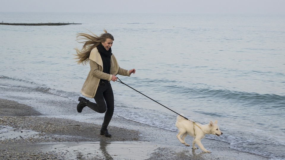 Bėgti su šunimi yra labai smagu. Žiemą jūs bėgiojate su savo šunimi ir puikiai leidžiate laiką.