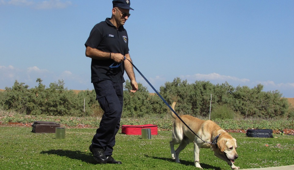 Policijos šuo tam tikroje veikloje yra mokomas nuo šuniuko. Kai kurios veislės, pavyzdžiui, vokiečių aviganis, yra linkusios dirbti tarnyboje.