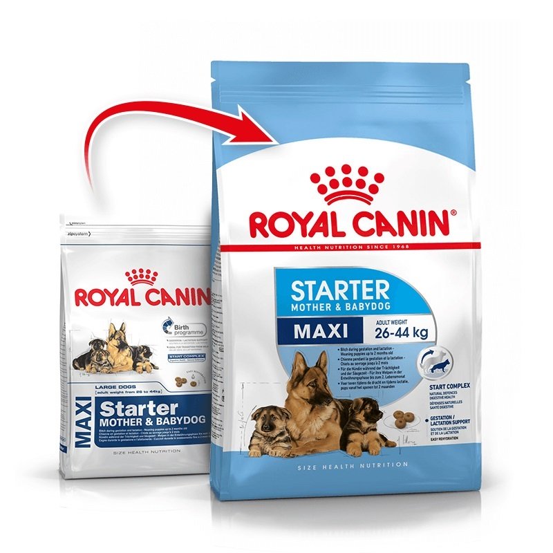 Корм starter. Royal Canin Maxi Starter. Роял Канин стартер макси 3 кг. Royal Canin Maxi Starter (15 кг). Роял Канин макси Паппи 20 кг.