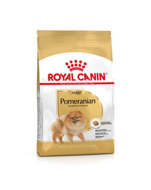 ROYAL CANIN Pomeranian Adult 1.5 kgsausas maistas suaugusių miniatiūrinių špicų veislės šunims + Pomeranian Adult 12x85g šlapias maistas
