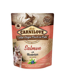 CARNILOVE Dog Paté Salmon with Blueberries Puppies 300g šlapias maistas šuniukams Lašiša su mėlynėmis