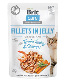 BRIT Care Fillets in Jelly kalakutiena ir krevetėmis 24 x 85 g