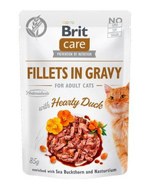 BRIT Care Fillets 24 x 85 g su antiena padaže