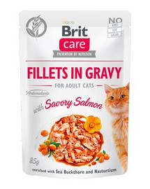 BRIT Care Fillets in gravy savory salmon 24 x 85 g lašišos filė padaže