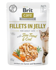 BRIT Care Fillets in Jelly with Fine Trout & Cod 24 x 85 g menkė ir upėtakis