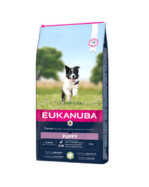 EUKANUBA Eukanuba Dog Puppy Small & Medium Breed Lamb & Rice 12 kg.