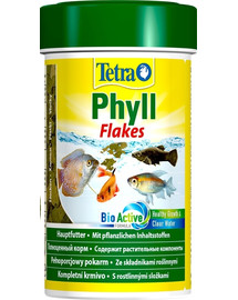 Tetra maistas Tetra Phyll 250 ml