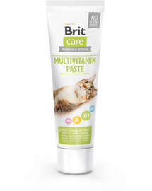 BRIT Care Paste Multivitamin 100 g multivitaminų pasta