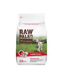 VETEXPERT Raw Paleo Beef puppy large 2,5kg didelių veislių šuniukams