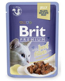 BRIT Premium Fillets in Jelly kačių ėdalo paketėliai 24 x 85 g