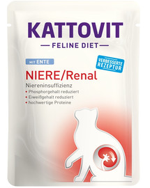 KATTOVIT Feline Diet Niere/Renal antiena 85 g
