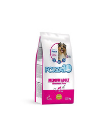 FORZA10 Medium Maintenance su žuvimi sausas ėdalas suaugusiems vidutinių veislių šunims 12,5 kg