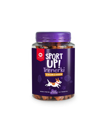 MACED SPORT UP Treniruokliai su lašišų aliejumi šunims 300g