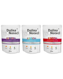 DOLINA NOTECI Junior Premium Skonių mišinys 12x300g