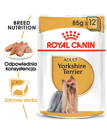 ROYAL CANIN Breed Mini Yorkshire 48 x 85 g