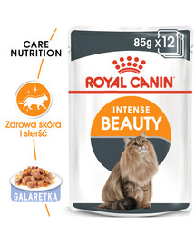 ROYAL CANIN  HAIR&SKIN  želėje 24 x 85 g