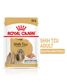 ROYAL CANIN Shih Tzu Adult Loaf šlapias maistas 48 x 85 g gabaliukai padaže, suaugusiems šicu šunims