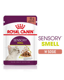 ROYAL CANIN Sensory Smell gravy 24x85 g gabalėliai padaže suaugusioms katėms, skatinantys uoslę