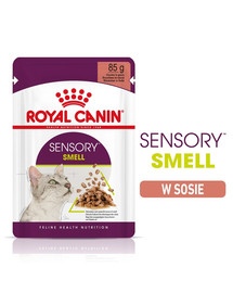 ROYAL CANIN Sensory Smell gravy 48x85 g gabalėliai padaže suaugusioms katėms, skatinantys uoslę