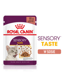 ROYAL CANIN Sensory Taste jelly 24x85 g gabalėliai padaže suaugusioms katėms skatinantys skonio pojūtį