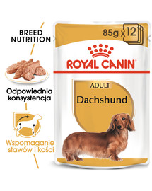 ROYAL CANIN Jamnik Adult 48 x 85 g šlapias maistas , skirtas suaugusiems taksų veislės šunims