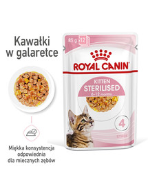 ROYAL CANIN Kitten Sterilised  želėje 48 x 85 g