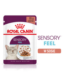 ROYAL CANIN Sensory Feel gravy 48x85 g gabalėliai padaže suaugusioms katėms, skatinantis tekstūros suvokimą