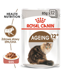 ROYAL CANIN  Ageing +12 24x85 g šlapias maistas padaže senyvom katėms