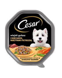 CESAR padėklas 14x150 g drėgno visaverčio ėdalo suaugusiems šunims padaže su vištiena, daržovėmis ir petražolėmis