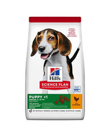 HILL'S Science Plan Canine Puppy Medium Chicken 18 kg vidutinių veislių šunų ėdalas su vištiena + 3 skardinės NEMOKAMAI