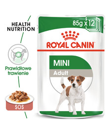 ROYAL CANIN Mini Adult 4x12x85g drėgnas ėdalas mažų veislių šunims iki 10 kg
