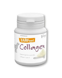 RECOVET BARFeed kolagenas (60 g)