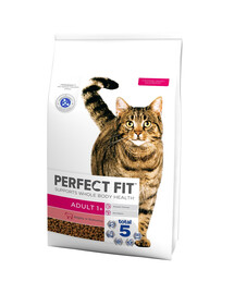 PERFECT FIT Adult 1+ Beef-rich 7 kg sausas visavertis ėdalas suaugusioms katėms