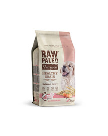 VETEXPERT RAW PALEO Heathy Grain Puppy Salmon 2 kg su lašiša šuniukams