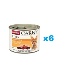 ANIMONDA Carny Kitten Poultry&Beef 6x200 g drób i wołowina dla kociąt