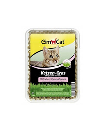 GIMPET Trawa kot cat grass (katzen-gras) 150g pojemnik pl