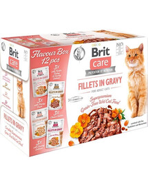 BRIT Care Cat Bandomasis komplektas katėms 12 x 85 g