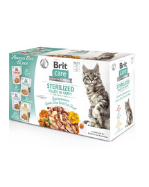 BRIT CARE Fillets in Gravy Box Pouch Sterilizuota 12X85g sterilizuotoms katėms