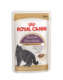 ROYAL CANIN British Shorthair šlapias maistas padaže suaugusioms katėms Britų trumpaplaukė 24x85 g