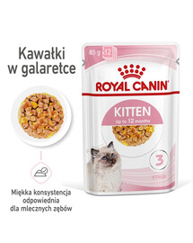ROYAL CANIN Cat instinctive kitten 24 x 85 g