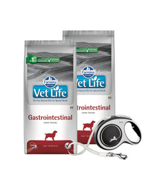 FARMINA Vet Life Gastrointestinal Dog 12 kg maistas šunims, turintiems virškinimo problemų + FLEXI New Comfort L Tape 8 m pavadėlis DOVANU