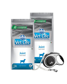 FARMINA Vet Life Dog Joint 2 x 12 kg šunų maistas sveikiems sąnariams  + FLEXI New Comfort L Tape 8 m pavadėlis DOVANU