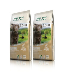 BEWI DOG Balance 2 x 12,5 kg maistas mažai aktyviems šunims