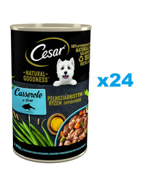 CESAR skardinė 24x400g drėgno ėdalo suaugusiems šunims su žuvimi padaže