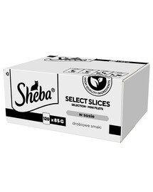 SHEBA Selection Select Slices Poultry Flavours paketėliai 120x85g su padažo gabalėliais: anties, vištienos, paukštienos, anties ir kalakutienos suaugusioms katėms