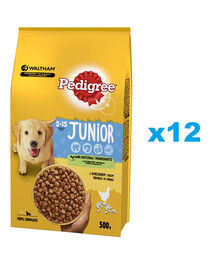 PEDIGREE Sausas maistas su vištiena Junior 12x500g jauniems vidutinių veislių šunims