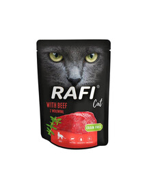 DOLINA NOTECI Rafi Cat drėgnas kačių ėdalas su jautiena 300 g