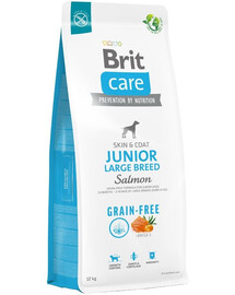 BRIT Care Grain-free Junior Large Breed sausas maistas su lašiša 12 kg