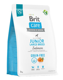 BRIT Care Grain-free Junior Large Breed sausas maistas su lašiša 3 kg